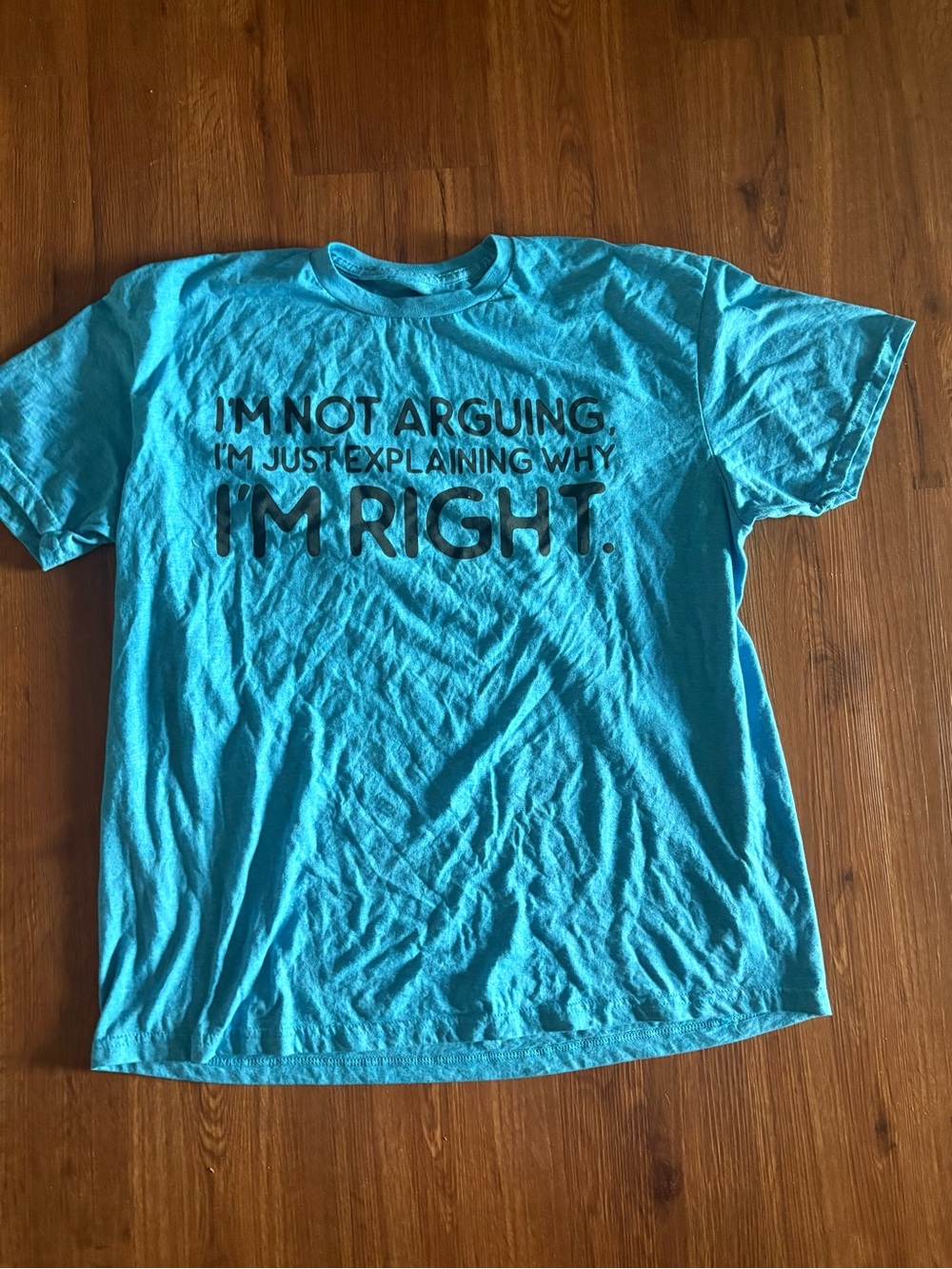 Gildan Turquoise Graphic Tee with Black Text